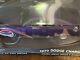 American Muscle 1970 Dodge Charger R/t 118 Diecast Model Rare Plum Crazy Purple