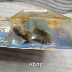 Vintage 1981 Mego the dukes of hazzard 8 figures Luke Bo Daisy Boss Hogg Toy